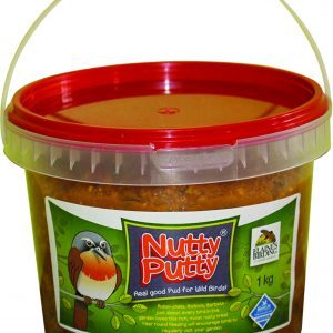 Nutty Putty 1kg